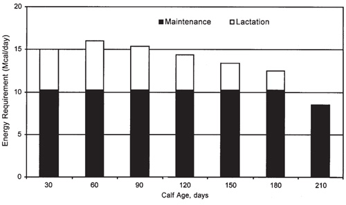 Figure 2. Maintenance and lactation energy requirement of an 1,100-pound Angus cow with 17.5-pound peak milk yield on specific days between calving and weaning.