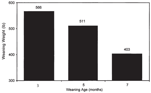Figure 5. Difference in calf weights on the normal weaning date for calves weaned at 3 and 5 months of age and placed in a feedlot versus calves normally weaned at 7 months of age.
