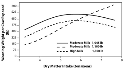 Fig. 01: Line graph showing production efficiency expressed as the weaning weight per exposed cow across varying levels of dry matter intake for the three genetic types of cattle with differing levels of milk production and mature size (adapted from Jenkins and Ferrell [1994]). X-axis shows dry matter intake in tons per year, from 3 to 8; y-axis shows weaning weight (in pounds) per cow exposed, from 0 to 600. Moderate (1,045 lb) and high milk cow levels peak at 5–6 tons per year, then decline; moderate milk (1,180 lb) level rises across the x-axis.