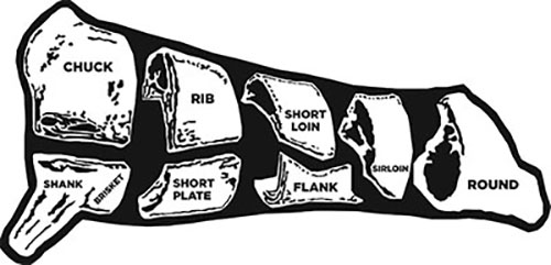 Illustration showing a beef carcass breakdown into primal cuts.