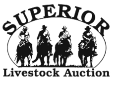 Black and white stencil-style logo of Superior Livestock Auction, depicting four men riding horses in silhouette, with minimal linework and details.