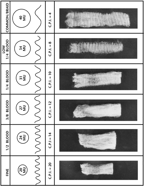 Fig. 1: Photograph of grades of wool described by the American Blood Grade System.