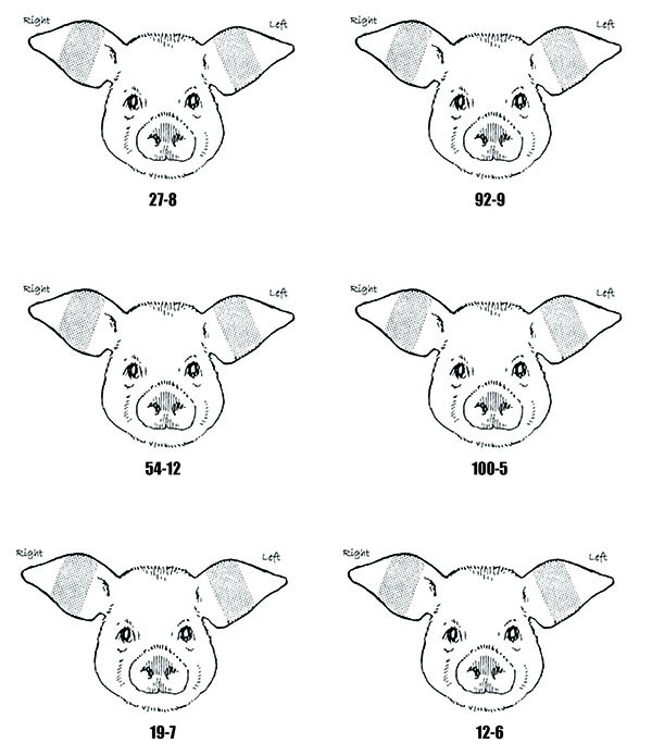 Stone Ear Notcher Baby Pig Swine Small V Die 5/16"  Identification Litter 