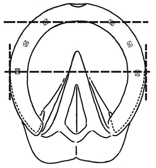 Dibujo lineal de una herradura con ángulos, líneas y símbolos esquematizados. Las formas geométricas están distribuidas de manera uniforme, confiriendo un tono técnico e instructivo.