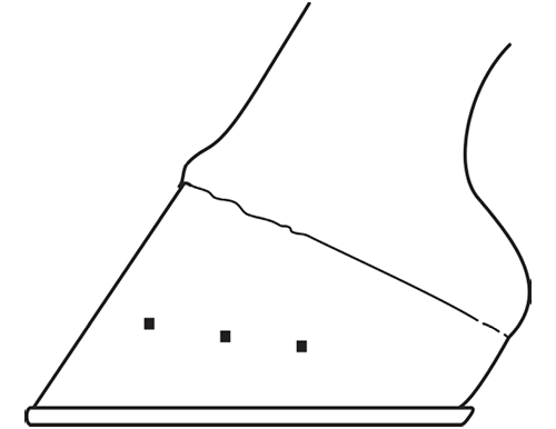 Ilustración de un casco equino con el talón elevado, que muestra los puntos de clavos remachados. El sencillo dibujo lineal enfatiza la distribución del peso en la suela.
