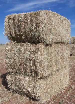 Figure 03B: Photograph of a stack of three square bales of sorghum-sudangrass.