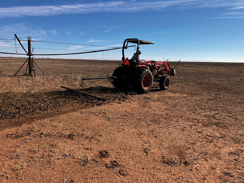 Photo of a drag harrow being used to break up and spread manure across a dormant pasture. The harrow is attached to a tractor and has metal teeth that dig into the ground. The pasture is mostly brown and dry, indicating its dormant state, with patches of green grass visible.