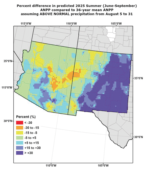Map showing predicted 2025 summer grassland production differences in Arizona and New Mexico with above-normal August precipitation, using a color scale from dark orange to dark blue.  Transcribed Text:  Percent difference in predicted 2025 Summer (June-September) ANPP compared to 36-year mean ANPP assuming ABOVE NORMAL precipitation from August 5 to 31.