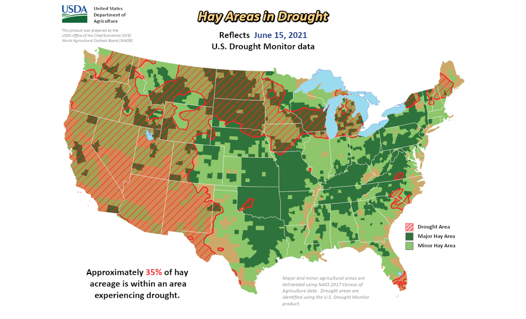 Map of U.S. hay-growing regions and drought areas as of June 15, 2021, showing extensive drought in the West.  Transcribed Text:  Hay Areas in Drought Reflects June 15, 2021 U.S. Drought Monitor data USDA United States Department of Agriculture This product was prepared by the USDA Office of the Chief Economist (OCE) World Agricultural Outlook Board (WAOB) Approximately 35% of hay acreage is within an area experiencing drought. Major and minor agricultural areas are delineated using NASS 2017 Census of Agriculture data. Drought areas are identified using the U.S. Drought Monitor product. Drought Area Major Hay Area Minor Hay Area