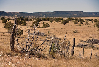 Photograph of a fence on open rangeland.