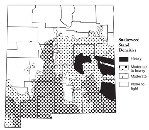 Fig. 1: Map of snakeweed distribution in New Mexico. 