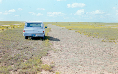 Fig. 3: Photograph of area treated with foliar herbicides. 