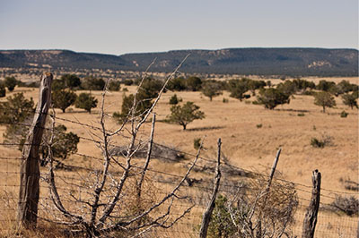 Photograph of open piñon-juniper range, with low mountains in the background and a barbwire fence in the foreground.