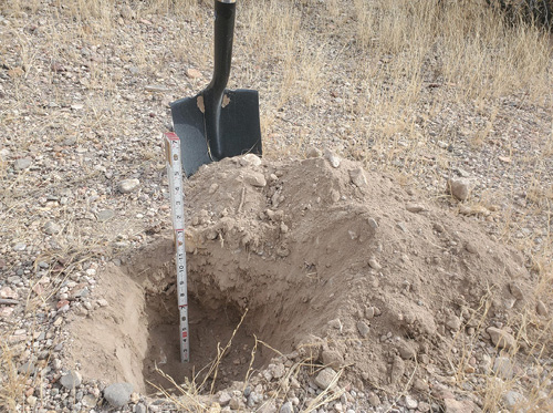 Open soil pit used to collect samples with the shovel and knife method.