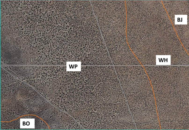 Figure 3. A rangeland area (462 ac) with four different soil types (orange lines separate the soil type boundaries). (Diagram John Idowu)