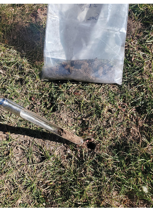 Soil sampling tube collection at a depth of six inches.