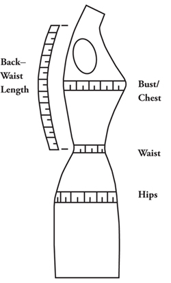 Illustration indicating different measurement locations on a female form.