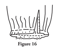 Fig. 16: After you have completed the sleeve plackets, finish the bottom of the sleeves by gathering the fullness (Figure 16) or folding pleats (Figure 17) as the pattern requires. 