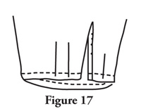 Fig. 17: After you have completed the sleeve plackets, finish the bottom of the sleeves by gathering the fullness (Figure 16) or folding pleats (Figure 17) as the pattern requires. 