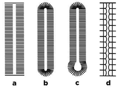 Illustration showing examples of four buttonhole types.