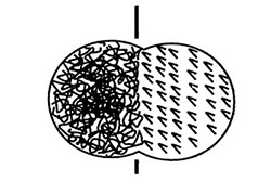 Fig. 10: Illustration showing hook and loop fastener.