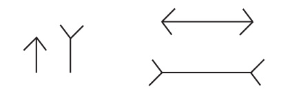 Illustration showing vertical and horizontal lines are the same length.