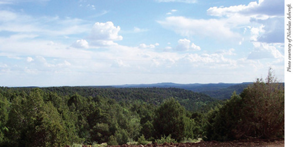 Fig. 4: Photograph of pi�on-juniper range. 