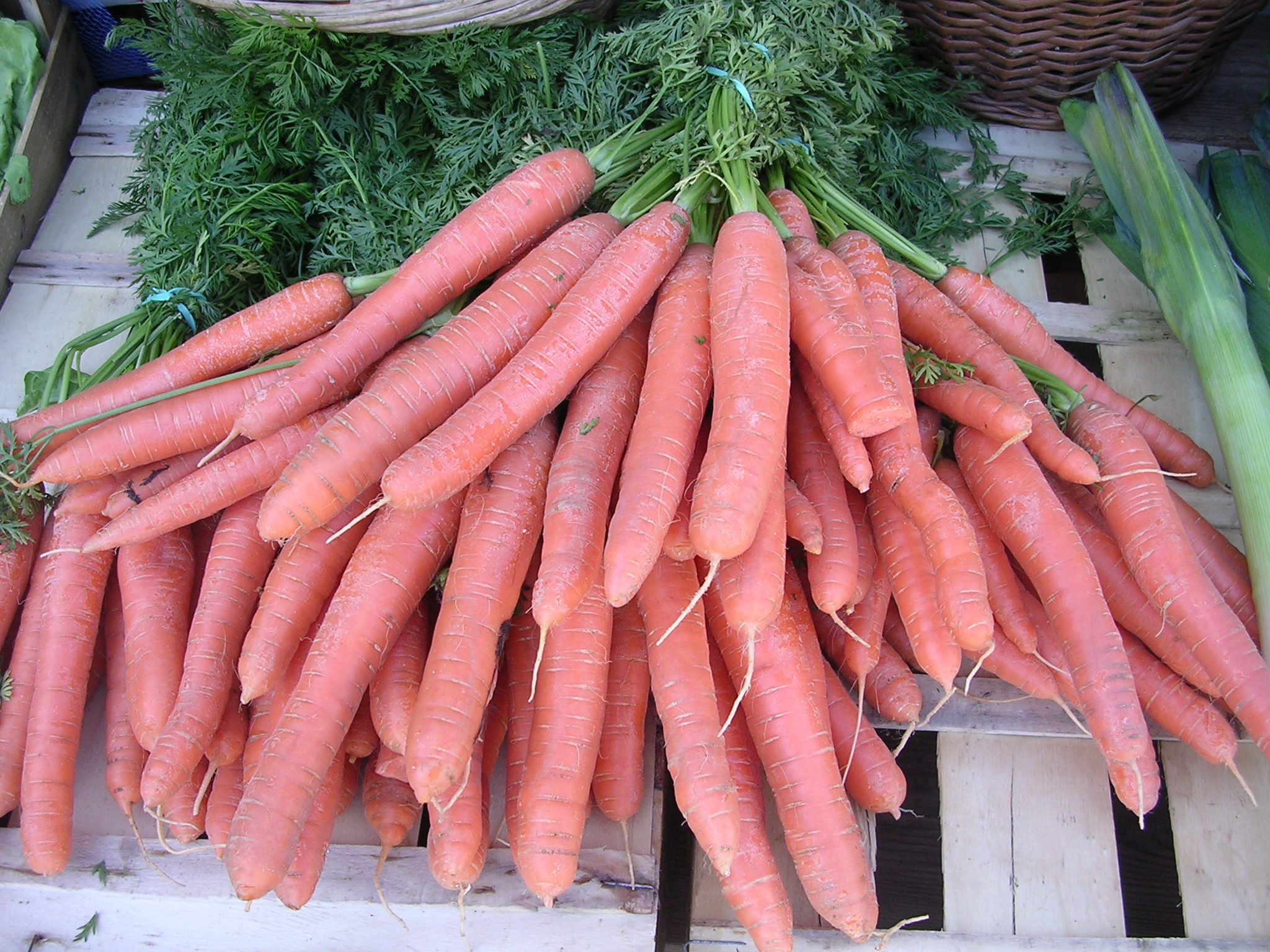 Fresh, vibrant orange carrots bundled together, showcasing their natural earthy texture.