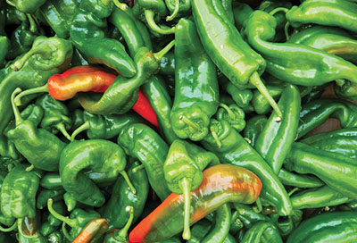 Figure 04: Photograph of green chile peppers.