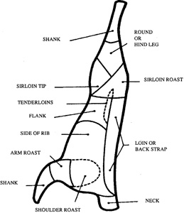 Fig. 1: Venison boning chart, location of main cuts. 