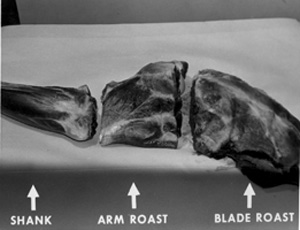 Fig. 4: Cut the front leg into three parts - shoulder or blade roast, arm roast, and shank. (figures 5 through 7.)