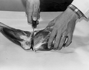 Fig. 6: To separate the arm roast from the shank, prepare to saw the leg bone by cutting the meat down to the bone.