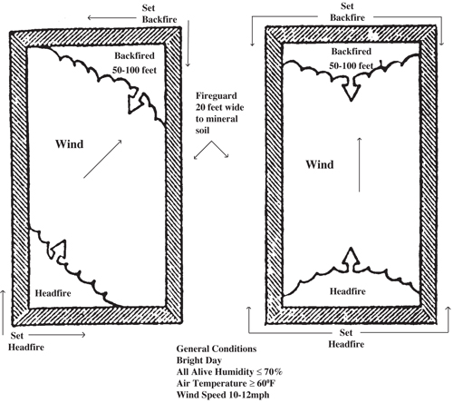 Fig. 1: Illustration of procedures for igniting backfires and headfires in oblique winds, left, and in direct winds, right.