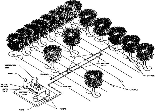 Fig. 1: Illustration of components of a typical orchard drip system.