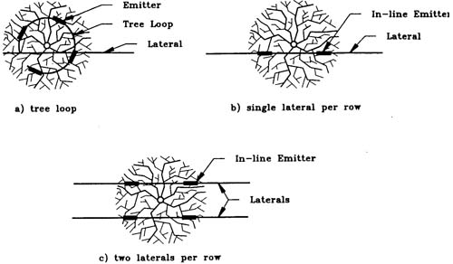 Fig. 4: Illustration of typical emitter arrangements: (a) emitters installed in a tree loop;(b) single lateral with in-line emitters; and (c) double lateral with in-line emitters.