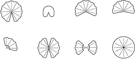 Fig. 6: Illustration of typical application patterns of micro-sprinklers and sprinklers.