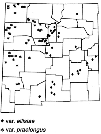 ellis's stinking milkvetch can be found in these counties: San JUan, Rio Arriba, Colfax,McKinley, Sandoval, Santa Fe, San Miguel,Cibola, Albuquerque, Torrance, Guadalupe, Catron, Socorro, Chaves, Roosevelt, Grant, Dona Ana, Otero. 