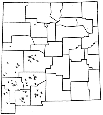 silverline locoweed can be found in these counties: Sandoval, Cibola, Catron, Socorro, Grant, Sierra, Hidalgo, Luna, Dona Ana. 