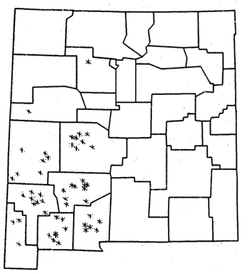 White Locoweed can be found in these counties: Sandoval, Cibola, Catron, Socorro, Grant, Sierra, Hidalgo, Luna, Dona Ana