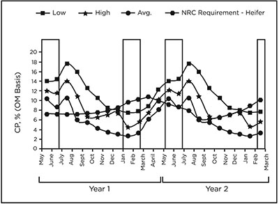 Figure 02: Plot graph showing protein content of CRLRC forage in low, average, and high production years versus heifer protein requirements over time. Protein content is generally insufficient January through April.