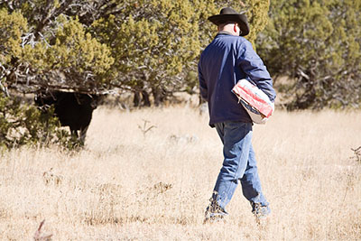 Figure 01: Photograph of a person carrying a feed bag.