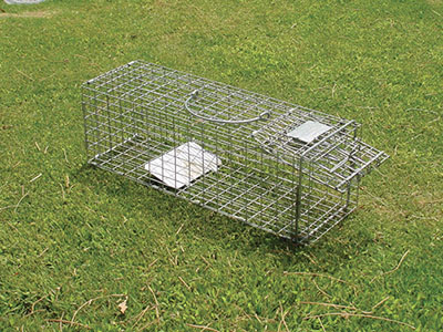 Fig. 04: Photograph of a cage-type live trap for catching rock squirrels.