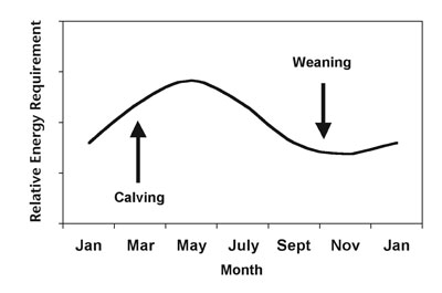 Fig. 12: Line graph of relative energy requirements of a spring-calving beef cow.