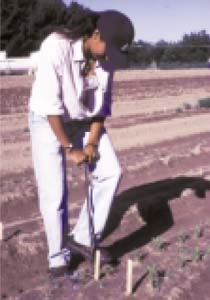 Fig. 16: Collect soil cores with a soil probe.