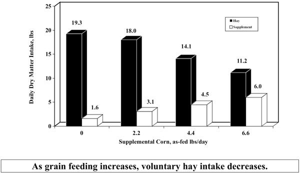 Fig. 1: Bar graph of grain supplementation influence on forage intake; as grain intake increases, voluntary hay intake decreases.