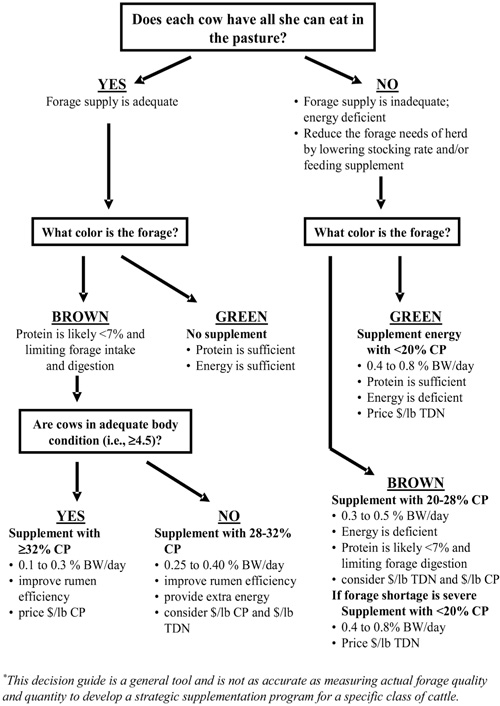 Fig. 5: Flow chart of beef cow supplementation decision guide.