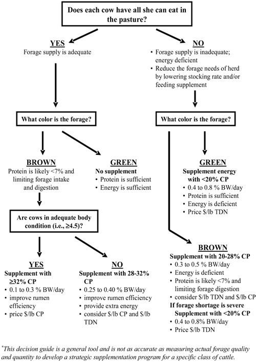 Using Byproduct Feedstuff in Grazing Nutrition