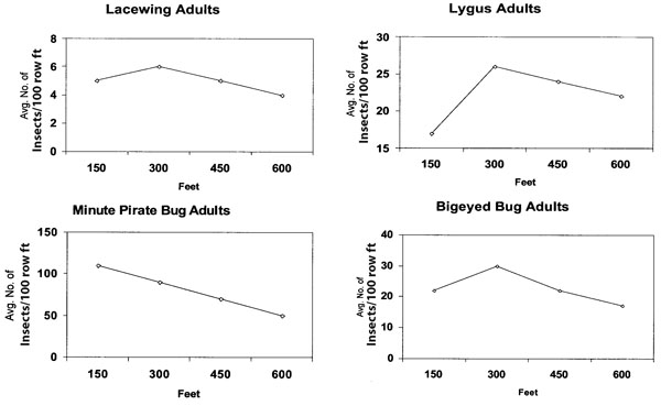 Fig. 3: Graphs of average of four 100-ft Insectavac insect samples taken 150, 300, 450, 600 ft from the edge of a 360-acre cotton field downwind from a 360-acre drying safflower field, Boswell farms, Corcoran, CA. 