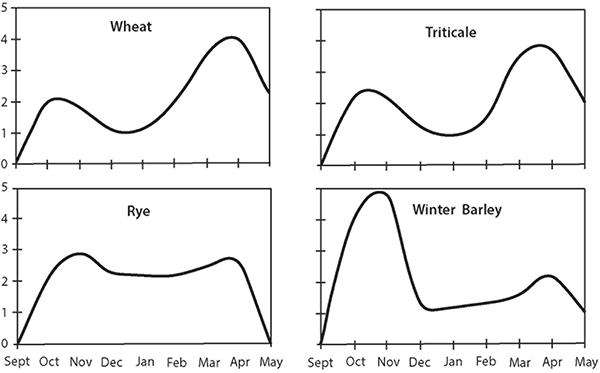 Fig. 2: Line graphs showing relative forage production distribution of small grain crops.