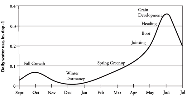 Fig. 5: Line graph showing daily water use throughout the life cycle of wheat